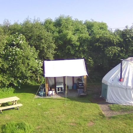 Mill Haven Place Glamping-Yurt 1 Talbenny Eksteriør billede