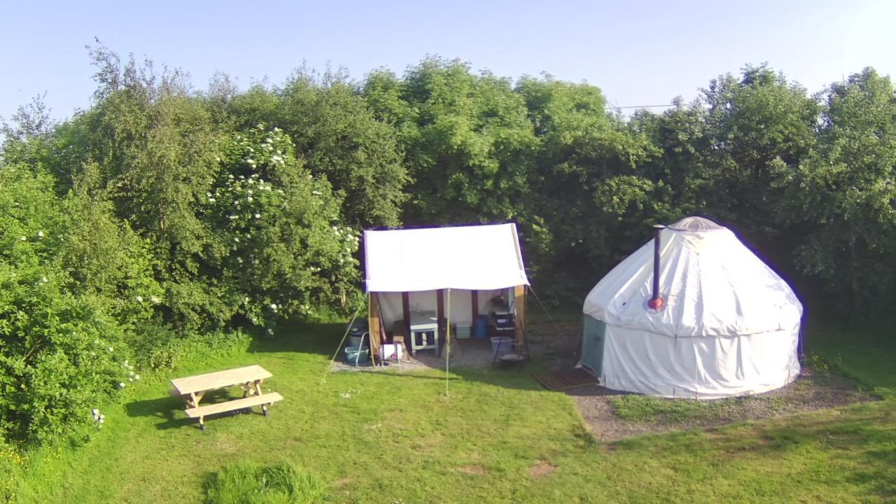 Mill Haven Place Glamping-Yurt 1 Talbenny Eksteriør billede