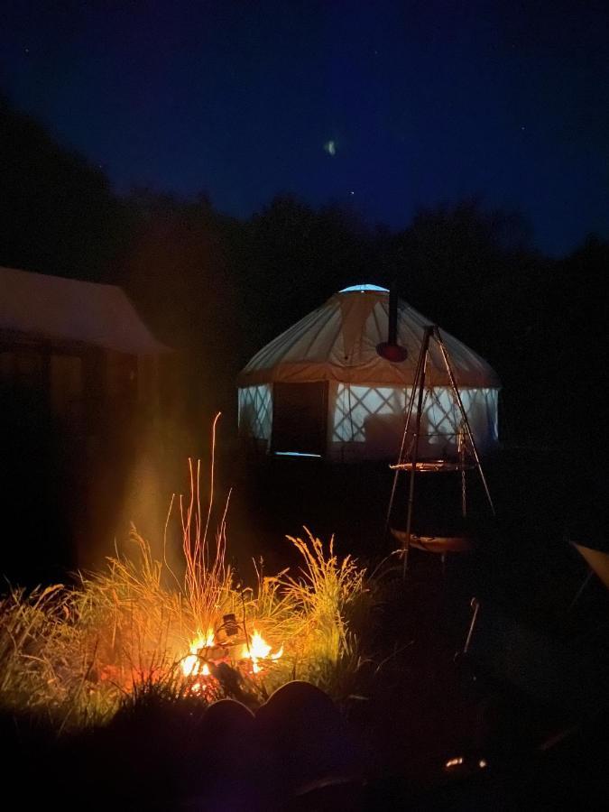 Mill Haven Place Glamping-Yurt 1 Talbenny Eksteriør billede