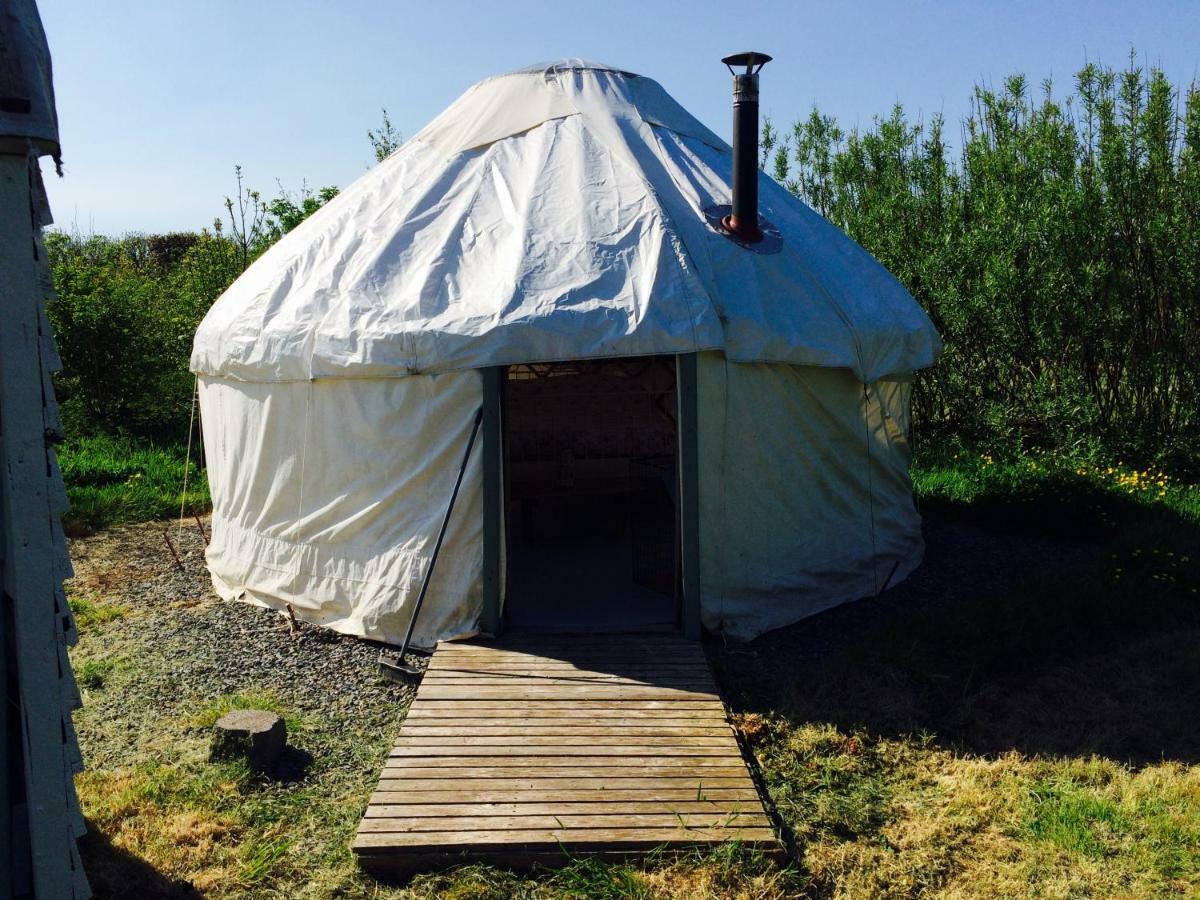 Mill Haven Place Glamping-Yurt 1 Talbenny Eksteriør billede