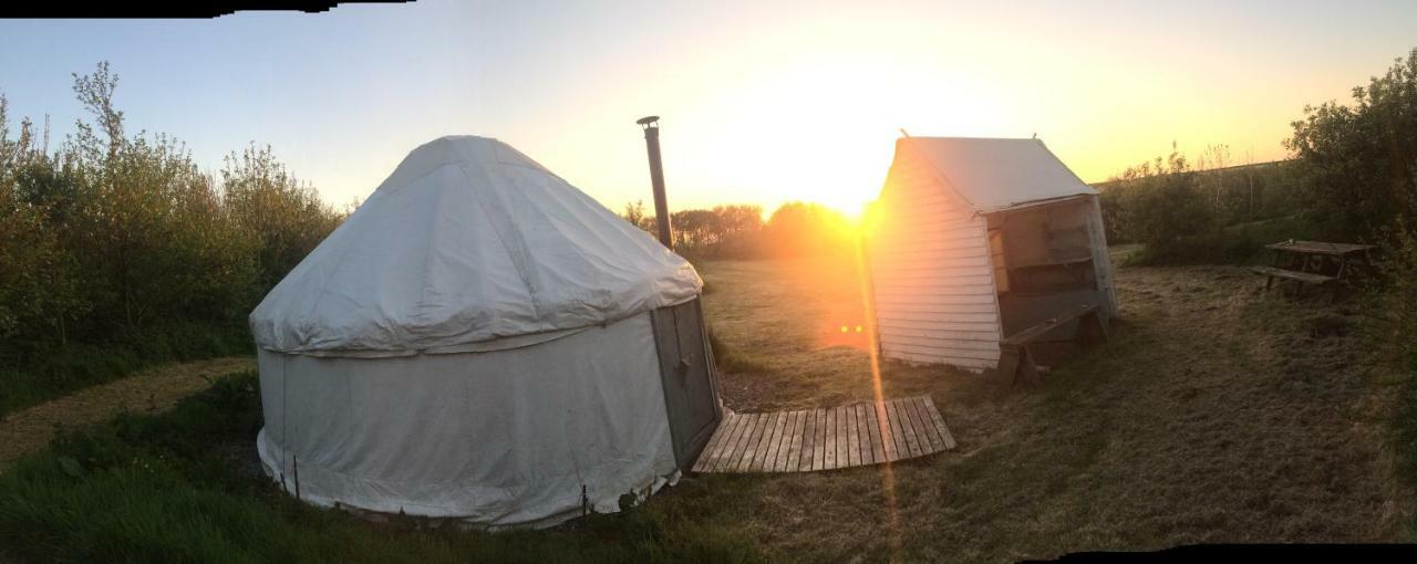 Mill Haven Place Glamping-Yurt 1 Talbenny Eksteriør billede