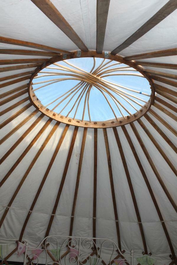 Mill Haven Place Glamping-Yurt 1 Talbenny Eksteriør billede