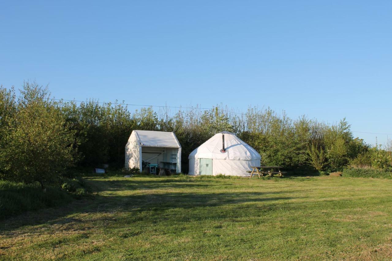 Mill Haven Place Glamping-Yurt 1 Talbenny Eksteriør billede