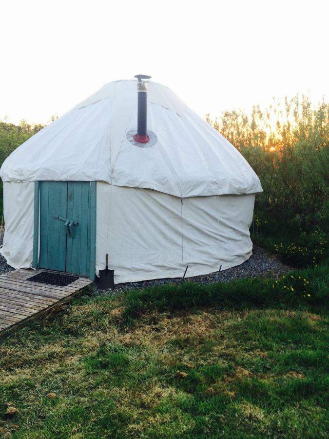 Mill Haven Place Glamping-Yurt 1 Talbenny Eksteriør billede