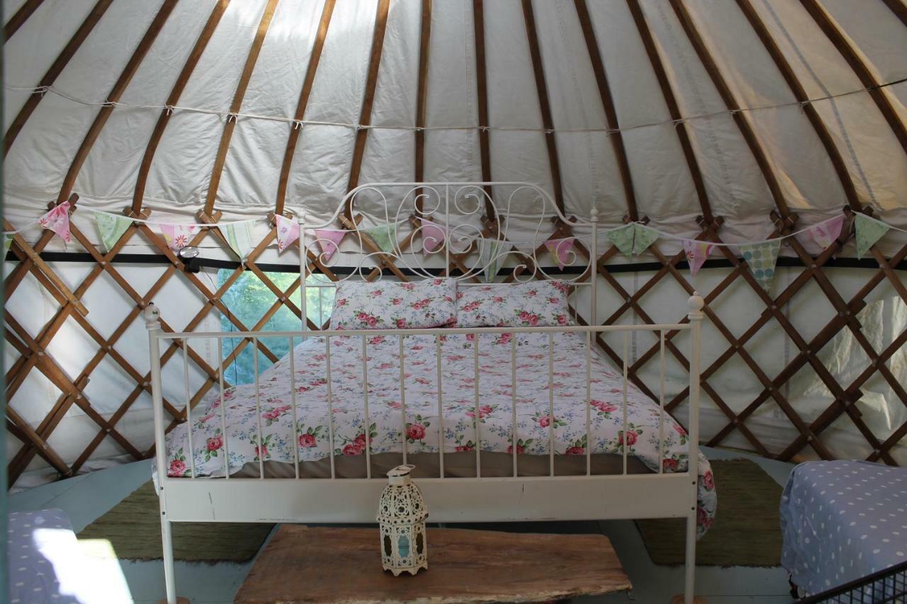 Mill Haven Place Glamping-Yurt 1 Talbenny Eksteriør billede