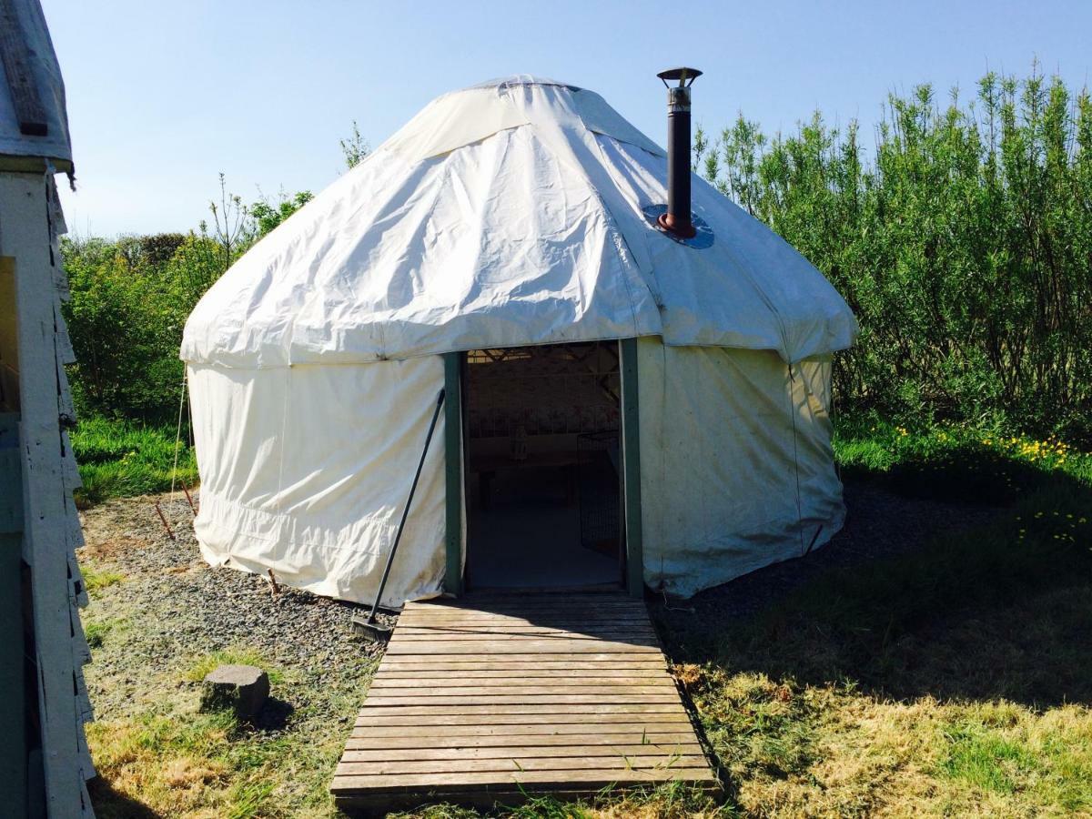 Mill Haven Place Glamping-Yurt 1 Talbenny Eksteriør billede