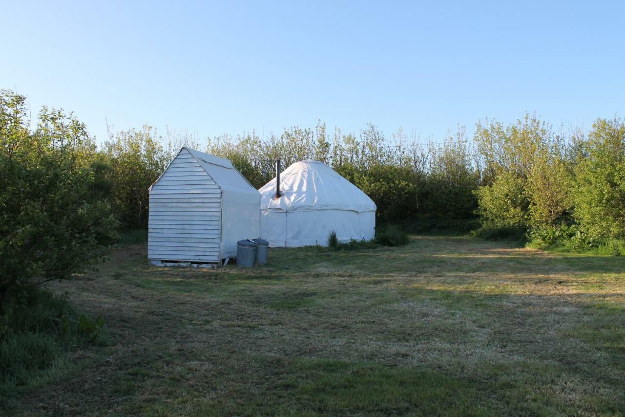 Mill Haven Place Glamping-Yurt 1 Talbenny Eksteriør billede